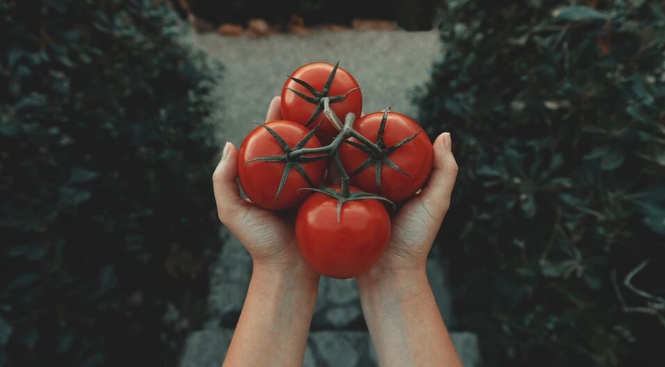 Tomatid vähendavad eesnäärmevähi riski